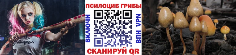 блэк спрут зеркало  Ликино-Дулёво  Псилоцибиновые грибы Cubensis 